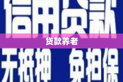 贵定贷款养老
