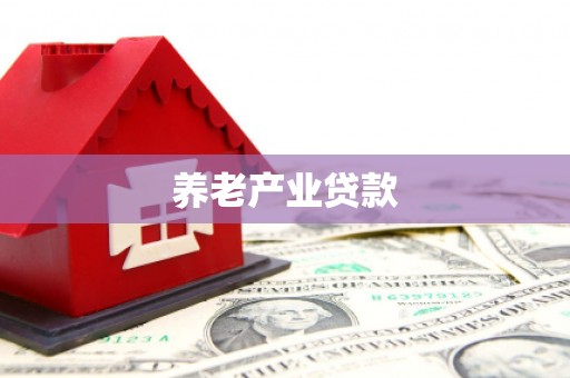 岗巴养老产业贷款