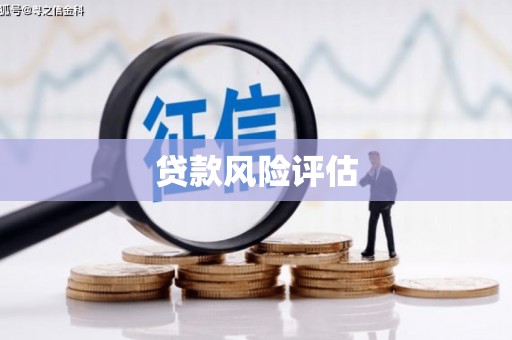昭阳贷款风险评估