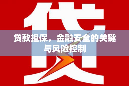 竹东贷款担保，金融安全的关键与风险控制