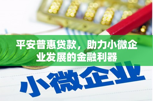 双清平安普惠贷款，助力小微企业发展的金融利器