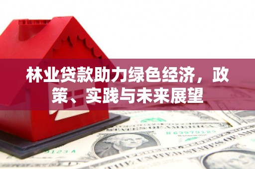 田寮林业贷款助力绿色经济，政策、实践与未来展望