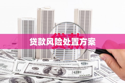 大城贷款风险处置方案