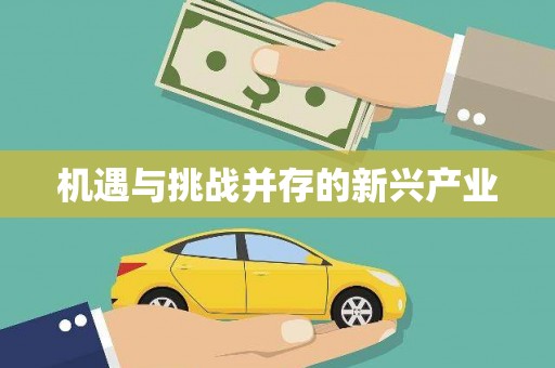 光复机遇与挑战并存的新兴产业