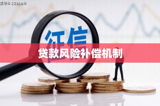 那玛夏贷款风险补偿机制