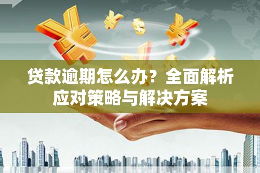 阜城贷款逾期怎么办？全面解析应对策略与解决方案