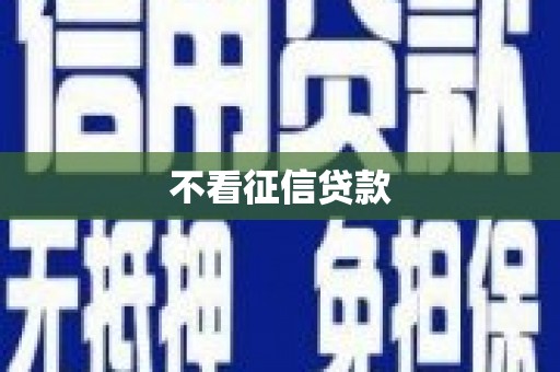 新河不看征信贷款