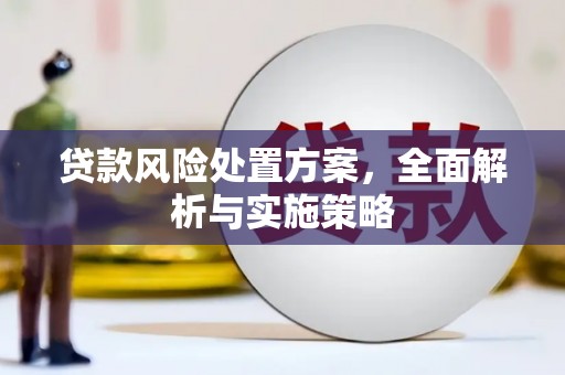 佳县贷款风险处置方案，全面解析与实施策略