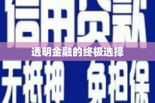 涿州透明金融的终极选择