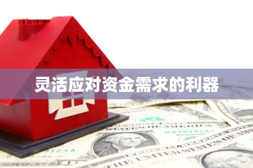 辽源灵活应对资金需求的利器