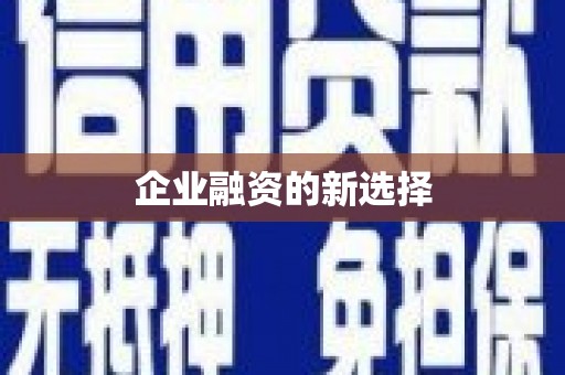 田尾企业融资的新选择